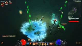 Diablo 3 Witch Doctor Pet build T6 endgame [upl. by Ardiek]