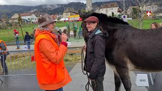 La foire de la Saint Martin à Bons en Chablais Savoie  France [upl. by Anoo]