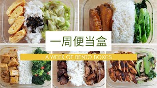 一周午餐便当食谱 One week of lunch boxes recipes [upl. by Murial346]