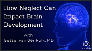 How Neglect Can Impact Brain Development – with Bessel van der Kolk MD [upl. by Barnes]