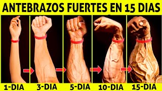 ✅COMO HACER UN ANTEBRAZO GRANDE  Entrenamiento de antebrazo en casa  Ejercicio de muñeca agarre [upl. by Bullen]