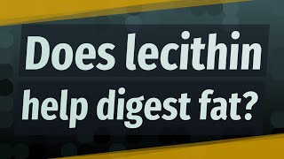 Does lecithin help digest fat [upl. by Marlin556]