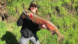 Orofino  Steelhead Big Bucks [upl. by Leod]