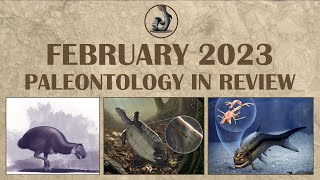 February 2023 Paleontology in Review [upl. by Beore]