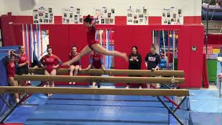 Natick HS Gymnastics  Winter 2024 vs Wellesley HS  Senior Night [upl. by Nevyar]