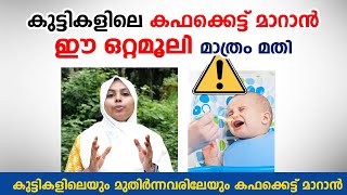 കഫക്കെട്ട് മാറാൻ ഈ ഒറ്റമൂലി മാത്രം മതി  kapha kettu maran ottamooli  Arogyam [upl. by Aysan]