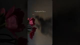 Sad Urdu Poetry  Best Whatsapp Status Poetry  Urdu Shayari  2 Lines Urdu Poetry  Poetry Diary [upl. by Enibas]