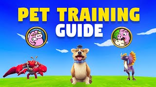 Wizard101 ULTIMATE Pet Training Guide 2024 [upl. by Ekralc]