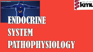 Pathophysiology 2 Endocrine systemkmu lecture 1 [upl. by Tad]