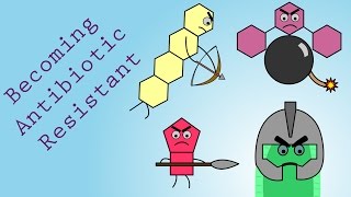 Why Do Bacteria Develop Antibiotic Resistance [upl. by Ardme516]