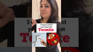 How to protect your home from Termite antitermite deemak interiordesign home homeimprovement [upl. by Annatnas960]