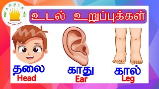 தமிழரசி மனித உடல் உறுப்புகள் Learn body parts name in Tamil and English for kids  Tamilarasi [upl. by Golding]