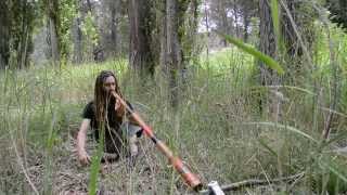 Didgeridoo Meditation Nature Sounds Relax in Nature [upl. by Yerhpmuh648]