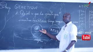 Cours  Terminale  SVT  Génétique  Suite 2 [upl. by Gyimah435]