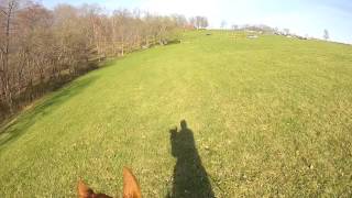 The Maryland Horse Trials 41215 Training Cross Country Helmet Cam [upl. by Wrightson]