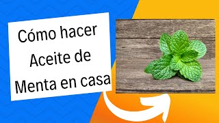 Cómo hacer Aceite de Menta Casero  Guía Paso a Paso para elaborar Aceite de Menta en casa [upl. by Trilbie]