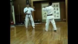 Sensei Nakamatsu Training 2005 [upl. by Ola400]