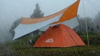 SOLO CAMPING IN HEAVY RAIN strong rainstorm soothing rain sound ASMR [upl. by Esorbma924]