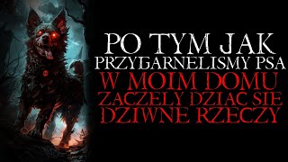 Po Tym Jak Przygarnęłam Psa w Moim Domu Zaczęły się Dziać Dziwne Rzeczy  Reddit NoSleep Creepy [upl. by Ingaborg]