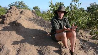 How a termite mound works [upl. by Short161]