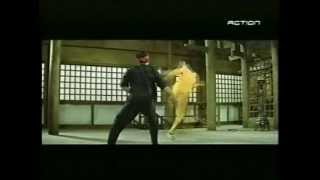 Bruce lee les vrais combats du jeu de la mort sans doublure ni trucages [upl. by Coltun871]