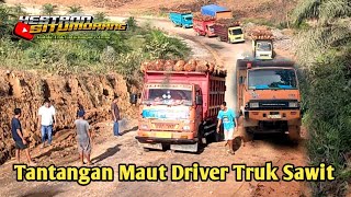 Tantangan Maut Sopir Truk Sawit Dan Truk Batu Bara Di Tanjakan Tinggi [upl. by Eilata317]