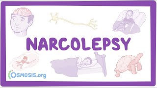 Narcolepsy NORD  causes symptoms diagnosis treatment pathology [upl. by Anoyet620]