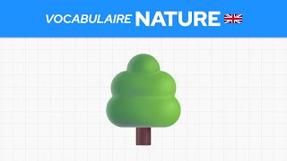 Le vocabulaire anglais de la nature 🌳 [upl. by Alys]