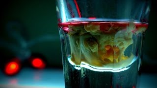 How to Make A Brain Hemorrhage Shot  Cocktail Recipe [upl. by Silas910]