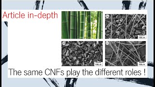 ARTICLE 2010 The same CNFs play the different roles [upl. by Kuster]