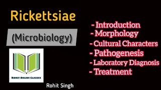 Rickettsiae Microbiology [upl. by Lazare]