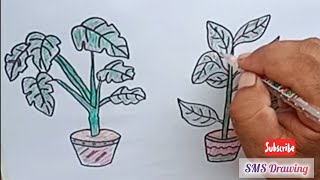 Plants drawing with pot  Easy plants drawing video  plants drawing with pencil [upl. by Sirref539]