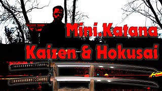 MiniKatana Tameshigiri Series  900 Kaizen and 1000 Hokusai Katana Review [upl. by Kimmel954]