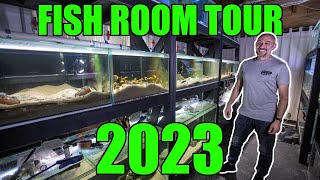 My full Fish Room Tour for 2023 BIG UPDATES Tanganyika Cichlids [upl. by Ahsyas]