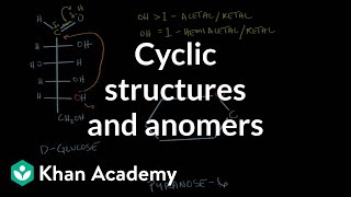 Carbohydrates  cyclic structures and anomers  Chemical processes  MCAT  Khan Academy [upl. by Diandra]