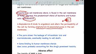 Amphotericin B mechanism of action Antifungal drug [upl. by Pryce]