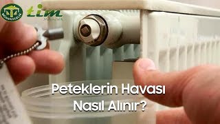 Petek Havası Nasıl Alınır [upl. by Jamaal]