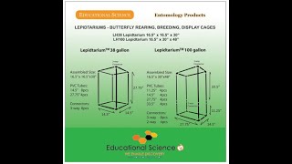 BUTTERFLY CAGE [upl. by Htiduy]