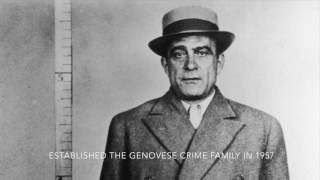 Genovese Crime Family [upl. by Eceryt]