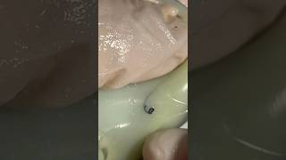 Mochi Pimple Popping pimplepopping satisfying visualasmr relax cats oddlysatisfying [upl. by Derr]