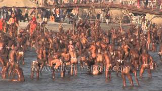 Best of Allahabad Kumbh mela  Worlds largest religious gathering [upl. by Letnuhs221]