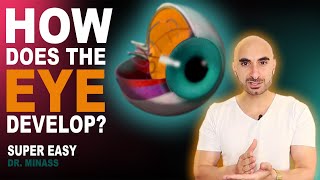 Embryology of the Eye Easy to Understand [upl. by Dreher561]