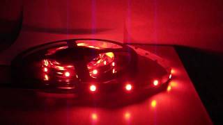 Learn what 5050 RGB LED Lights are [upl. by Anahoj470]