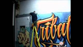 Real vandals 10 Parte 2 [upl. by Herzen205]