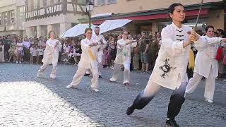 Kulturnacht Tübingen 2024  Wushu [upl. by Rehpoitsirhc]