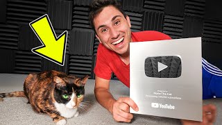 My Cat got 100K Subscribers on YouTube [upl. by Gui]