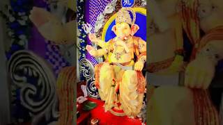 ganpati sthapna 5th day shorts viralshorts  dhamtri [upl. by Modestine753]