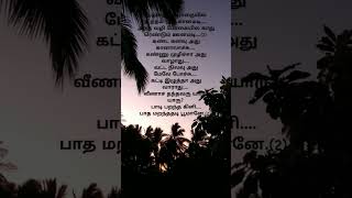 padi parantha kili song lyrics tamilshortvideo wharsappstatus subscribe😍 [upl. by Behn]