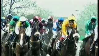 2003 Grand National Grandstand Titles [upl. by Hsinam471]