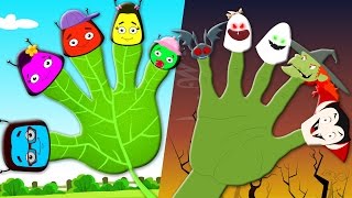 Finger Family Nursery Rhymes And Childrens Song [upl. by Beryle]